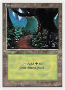 Forest (B) [Summer Magic]