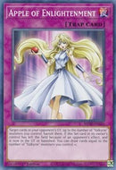 Apple of Enlightenment [MP20-EN046] Common