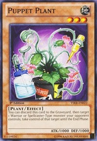 Puppet Plant [YSKR-EN022] Common